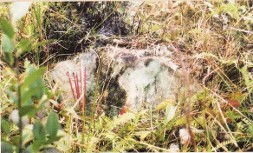 1988年首次尋根祭祖之行,由方德楨先生陪同到方永蒼師祖墓前祭拜