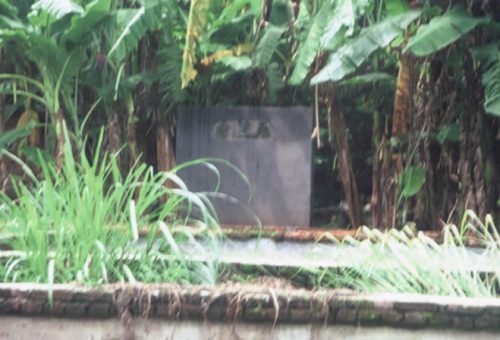 方世培祖師練武處[天竺寺]遺址一片蕉園 2