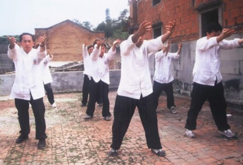 兩岸同門在方世培祖師故居前埕舉行縱鶴拳交流表演精湛武技 01