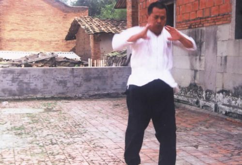 兩岸同門在方世培祖師故居前埕舉行縱鶴拳交流表演精湛武技 03