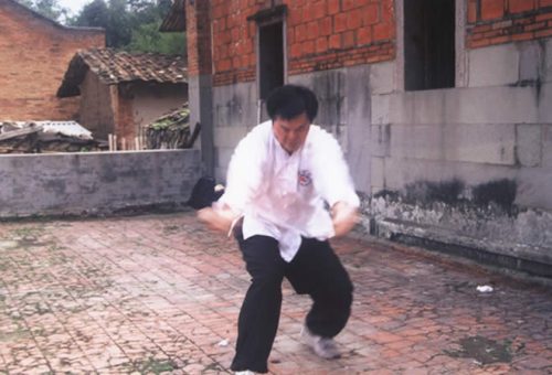兩岸同門在方世培祖師故居前埕舉行縱鶴拳交流表演精湛武技 04