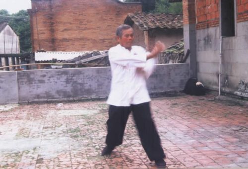 兩岸同門在方世培祖師故居前埕舉行縱鶴拳交流表演精湛武技 05