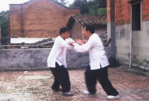 兩岸同門在方世培祖師故居前埕舉行縱鶴拳交流表演精湛武技 06