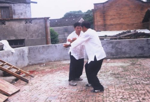 兩岸同門在方世培祖師故居前埕舉行縱鶴拳交流表演精湛武技 08