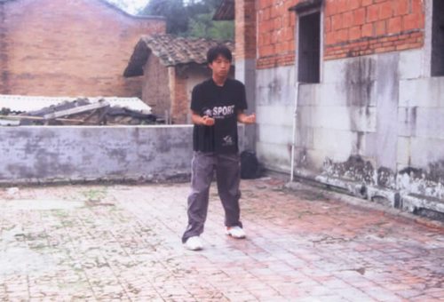兩岸同門在方世培祖師故居前埕舉行縱鶴拳交流表演精湛武技 10