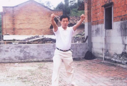 兩岸同門在方世培祖師故居前埕舉行縱鶴拳交流表演精湛武技 14